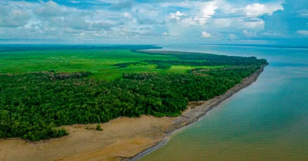 Novo mapeamento com Inteligência Artificial ajudará a prevenir desmatamento na Amazônia